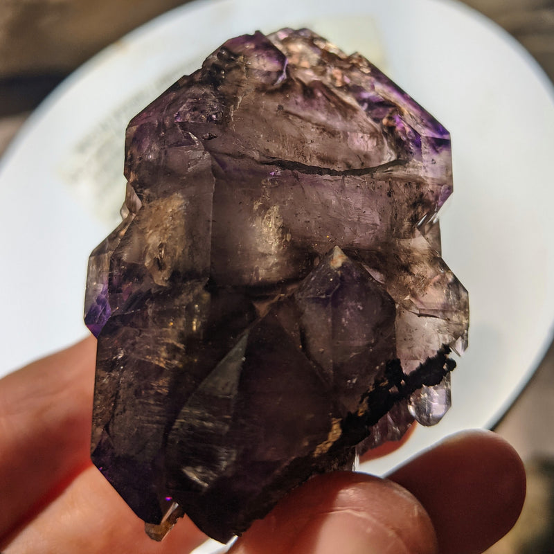 Intricate Smokey Quartz Shangaan Amethyst Scepter, 135.2 grams, Chibuku Mine, Zimbabwe