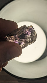 1.23 kilo, 25 Piece Shangaan Amethyst Wholesale Flat, Chibuku Mine, Zimbabwe