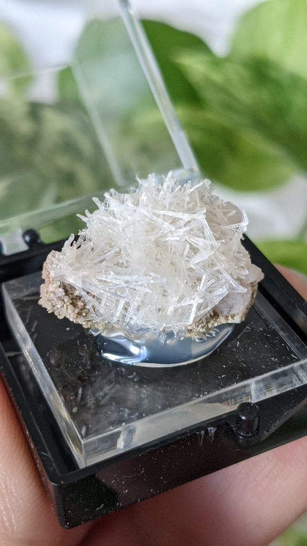 Natrolite, Mineral Specimen from Wasson's Bluff, Parrsboro, Nova Scotia, Canada