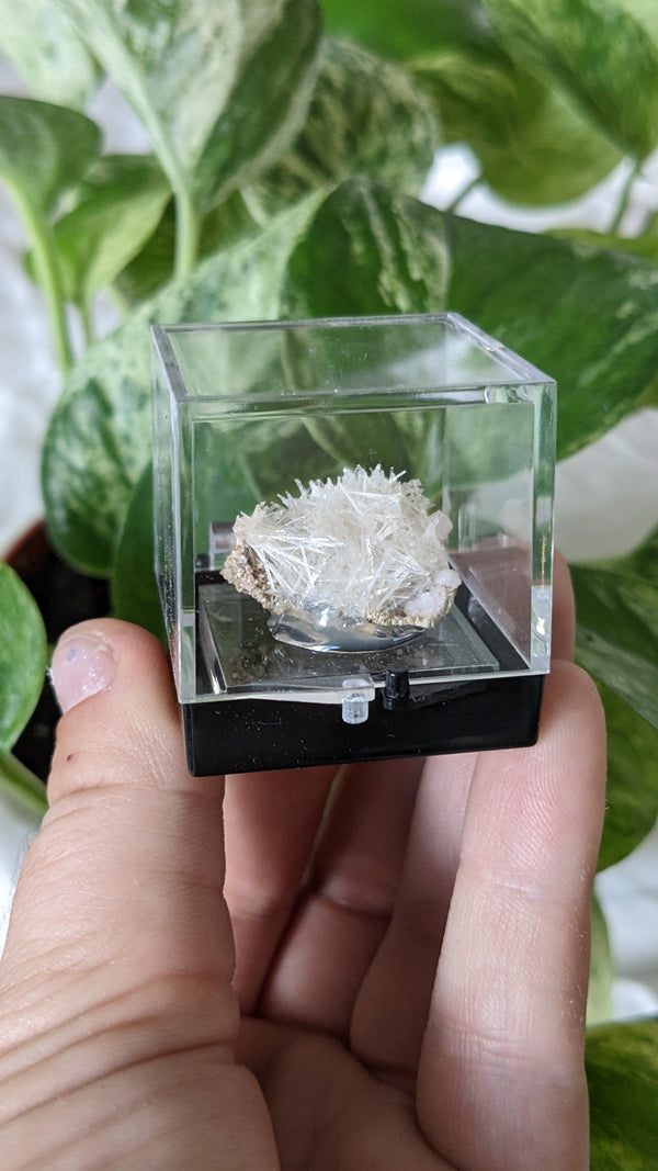 Natrolite, Mineral Specimen from Wasson's Bluff, Parrsboro, Nova Scotia, Canada