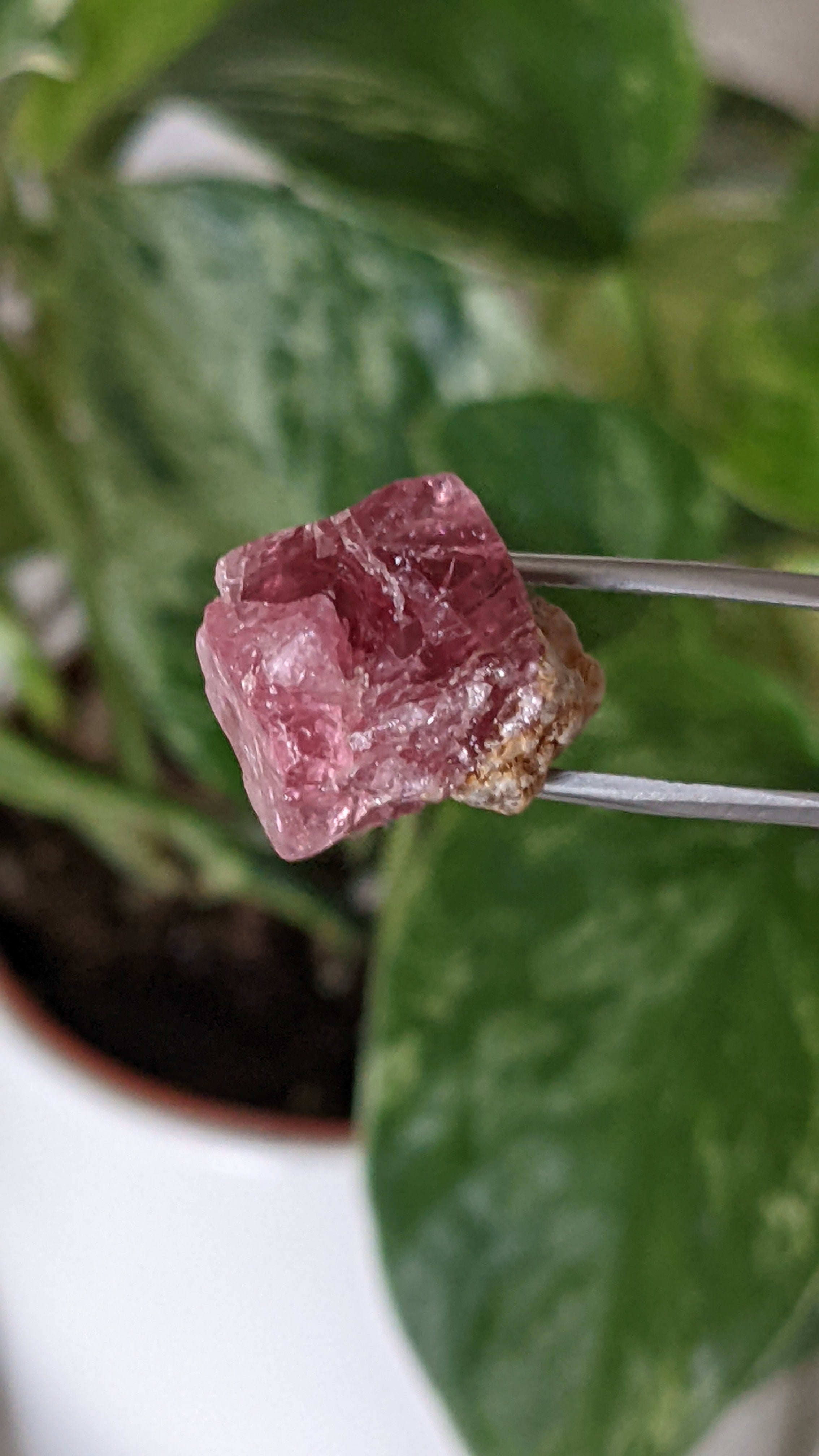 Spinel, Mineral Specimen from Mahenge, Morogoro Region, Tanzania – Nharo!