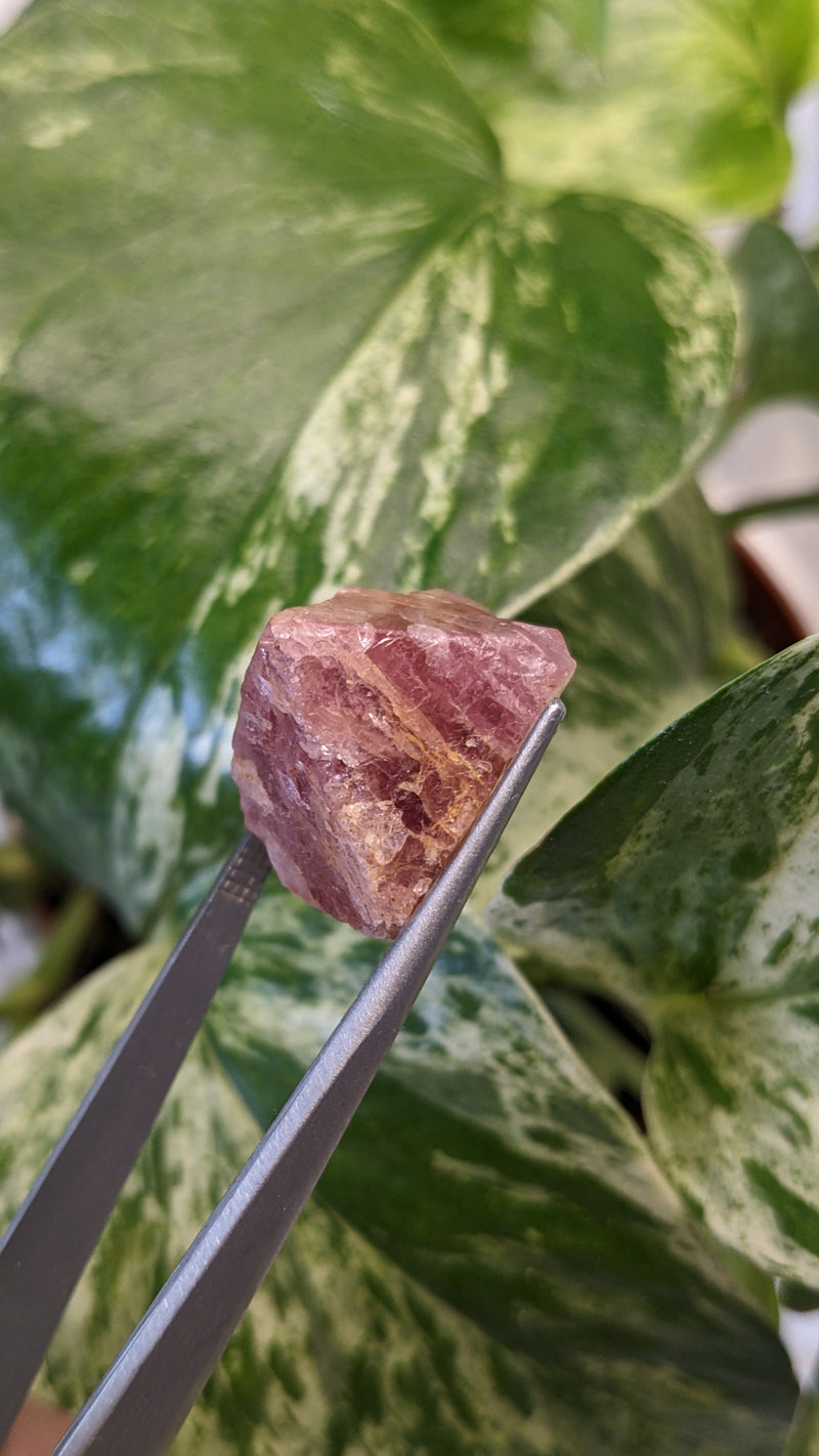 Spinel, Mineral Specimen from Mahenge, Morogoro Region, Tanzania