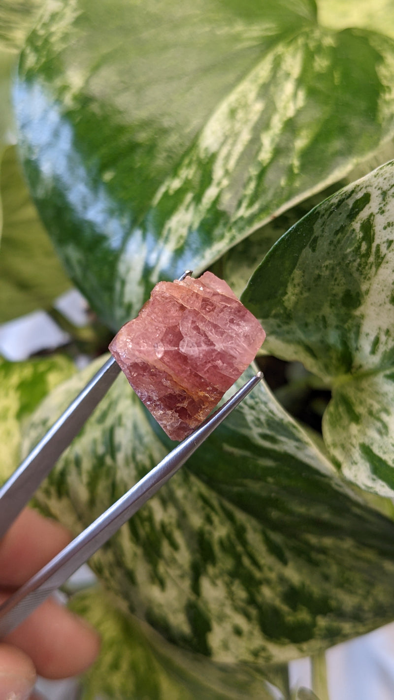 Spinel, Mineral Specimen from Mahenge, Morogoro Region, Tanzania