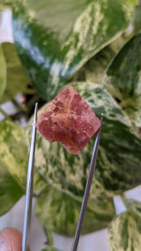 Spinel, Mineral Specimen from Mahenge, Morogoro Region, Tanzania