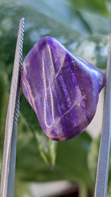 Gel Sugilite from Wessel’s Mine, Kalahari Manganese Field, Northern Cape, South Africa