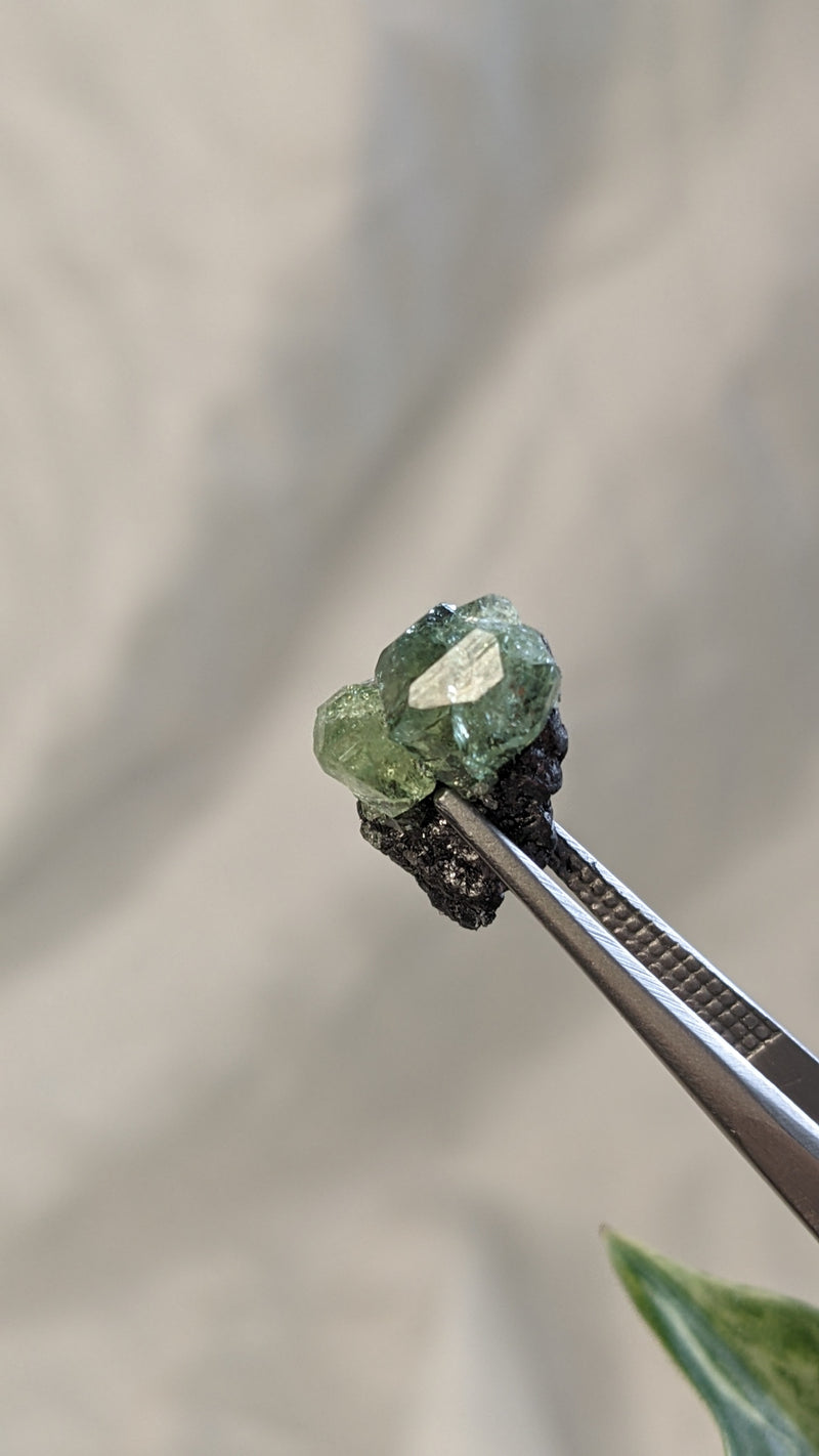 Tsavorite, Grossular Green Garnet from Merelani Hills, Lelatema Mountains, Manyara Region, Tanzania