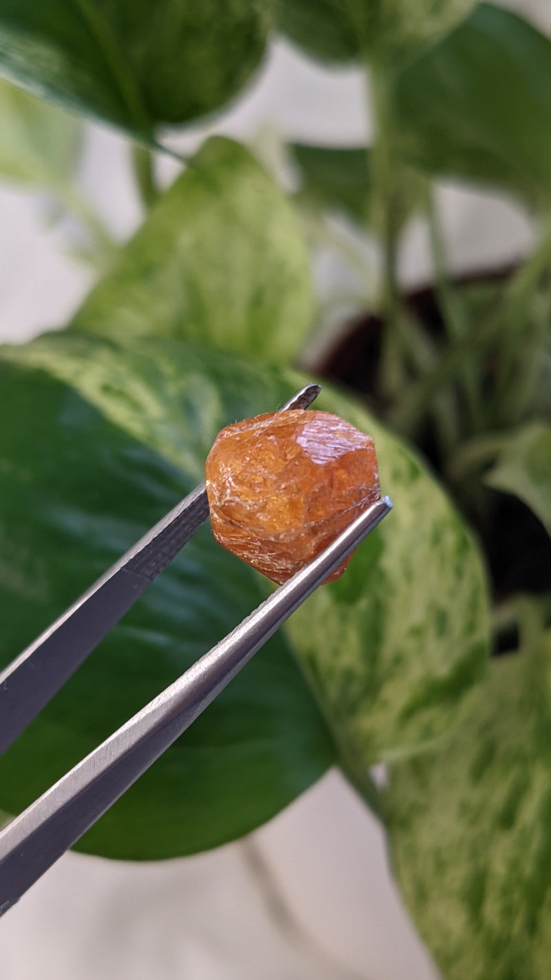 Spessartine Garnet, Mineral Specimen from Nani Hill, Loliondo, Ngorongoro District, Arusha Region, Tanzania