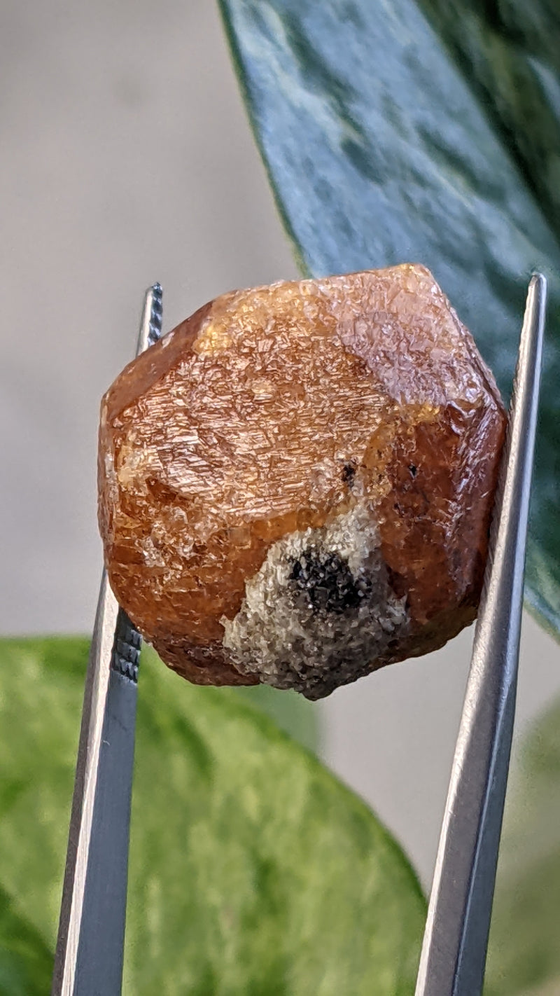 Spessartine Garnet, Mineral Specimen from Nani Hill, Loliondo, Ngorongoro District, Arusha Region, Tanzania