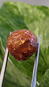 Spessartine Garnet, Mineral Specimen from Nani Hill, Loliondo, Ngorongoro District, Arusha Region, Tanzania