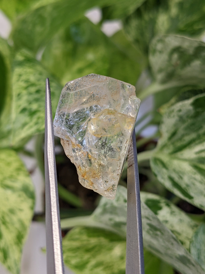 Silver Topaz, Klein Spitzkoppe, Erongo Region Namibia