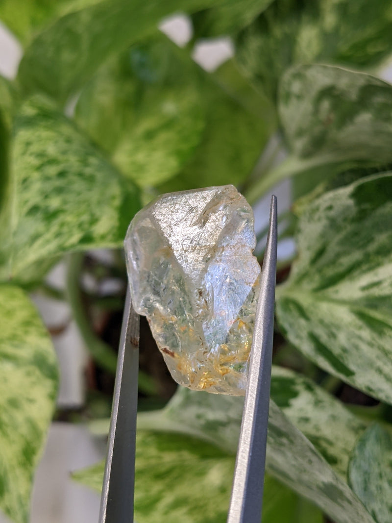 Silver Topaz, Klein Spitzkoppe, Erongo Region Namibia