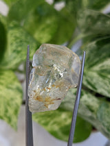 Silver Topaz, Klein Spitzkoppe, Erongo Region Namibia