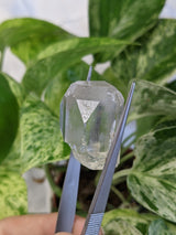 Silver Topaz, Klein Spitzkoppe, Erongo Region Namibia