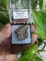 20.2 g Gibeon Meteorite, Iron and Nickel Meteorite, Gibeon, Namibia