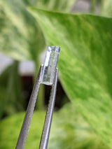Jeremejevite, Mineral Specimen from Amieb Ranch, Usakos, Erongo Region, Namibia