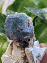 Cubic Fluorite with Beryl on Feldspar Matrix from Erongo Mountain, Erongo Region, Namibia