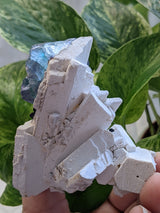 Cubic Fluorite with Beryl on Feldspar Matrix from Erongo Mountain, Erongo Region, Namibia