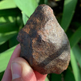 Gibeon Iron Meteorite
