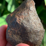 Gibeon Iron Meteorite