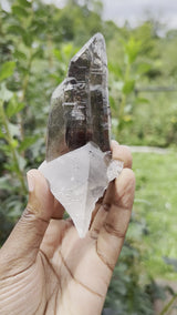 Smoky Quartz From Mount Malosa, Zomba, Malawi, Africa