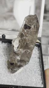 Black Diamond” Hydrocarbon-Included Herkimer Diamond, Diamond Mountain, Little Falls, New York