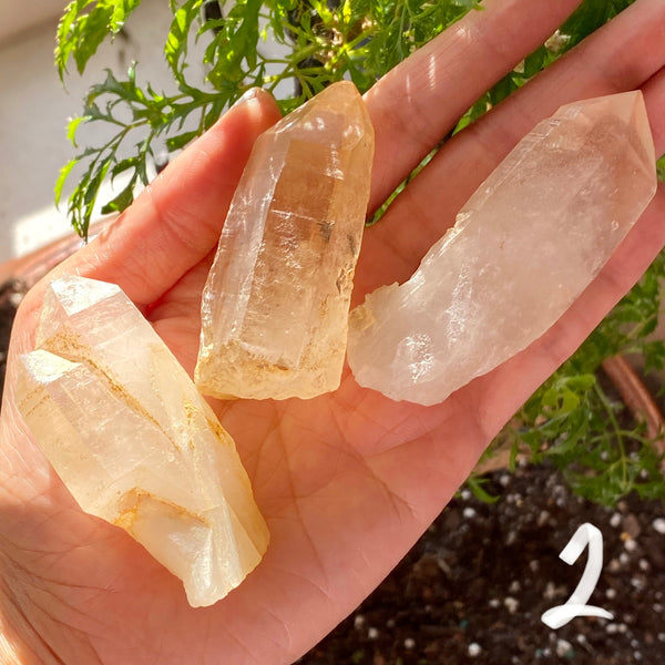Set of 3 Beautiful Phantom Discovery Quartz