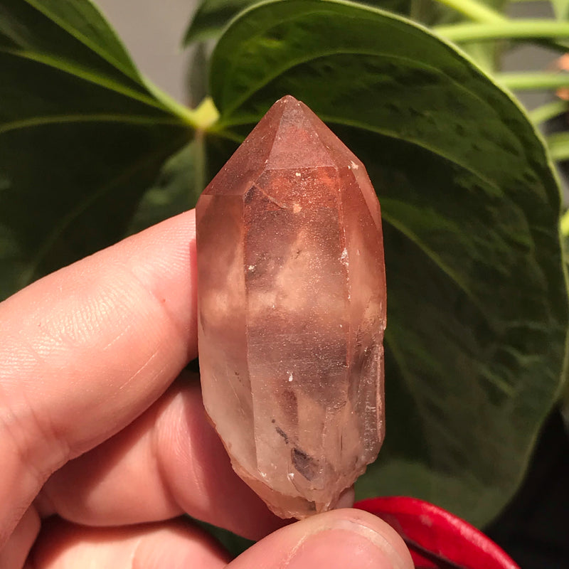 3 Ishuko Red Phantom Quartz, Hematite included Quartz from the Central Province of Zambia