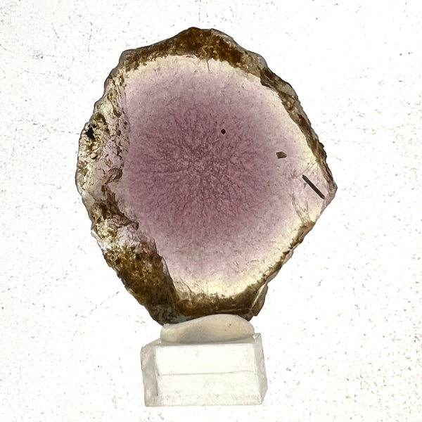 Sliced Botryoidal Fluorite from Klein Spitzkoppe Area, Erongo Region, Namibia
