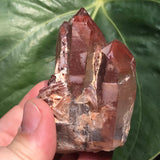 Vivid Ishuko Red Phantom Quartz Cluster, Hematite included Quartz from the Central Province of Zambia