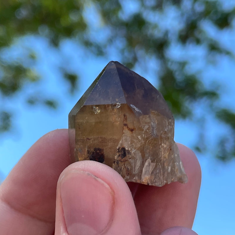 Over 1lb Lot of Kundalini Quartz Citrine, Democratic Republic of Congo, Lwena, Congo Citrine