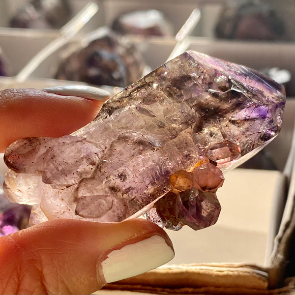 12 pack Mixed Shangaan Amethyst from Chibuku Mine, Zimbabwe