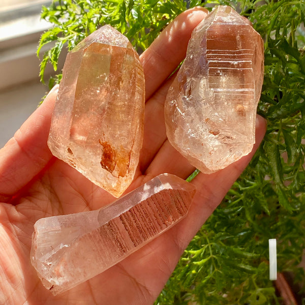 Set of 3 Beautiful Phantom Discovery Quartz