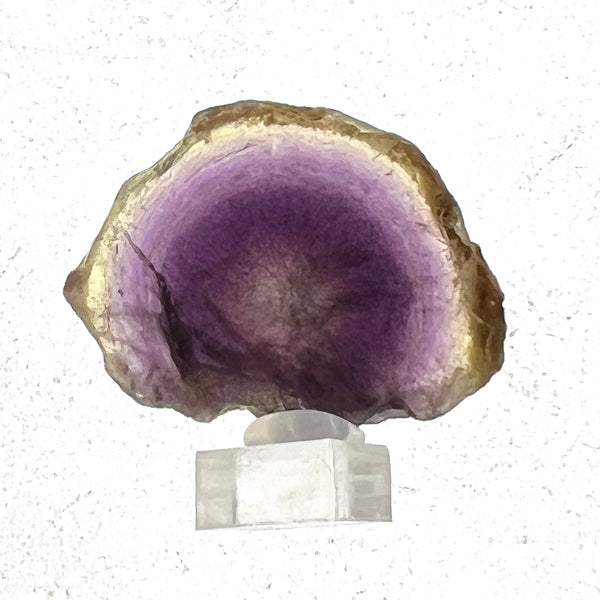 Sliced Botryoidal Fluorite from Klein Spitzkoppe Area, Erongo Region, Namibia