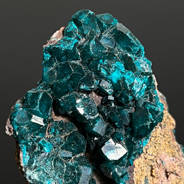 Druzy Dioptase Crystal, Mineral Specimen from Katanga, DR Congo