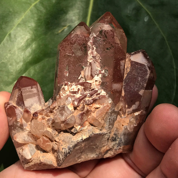 Vivid Ishuko Red Phantom Quartz Cluster, Hematite included Quartz from the Central Province of Zambia