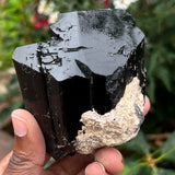 1.3 lb Lustrous Black Tourmaline Crystal, from Erongo Mountain, Erongo Region, Namibia