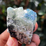 Blue Capped Elbaite, Kamana Pit, Mwajanga, Tanzania