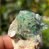 Gorgeous Fluorite Specimen, Erongo Mountain, Erongo Region, Namibia