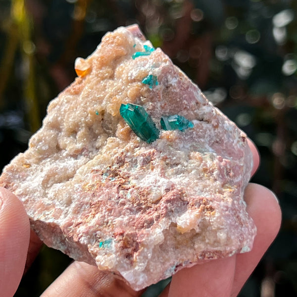 Dioptase on Matrix, Mineral Specimen from Kunene Region, Namibia, Africa