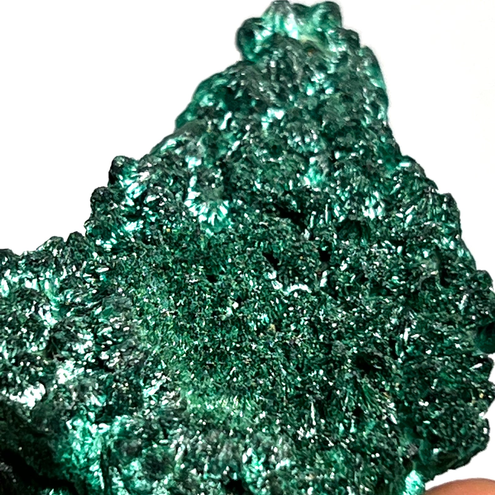 Gorgeous Green Fibrous Malachite, Miringi Mine, Katanga, DR Congo