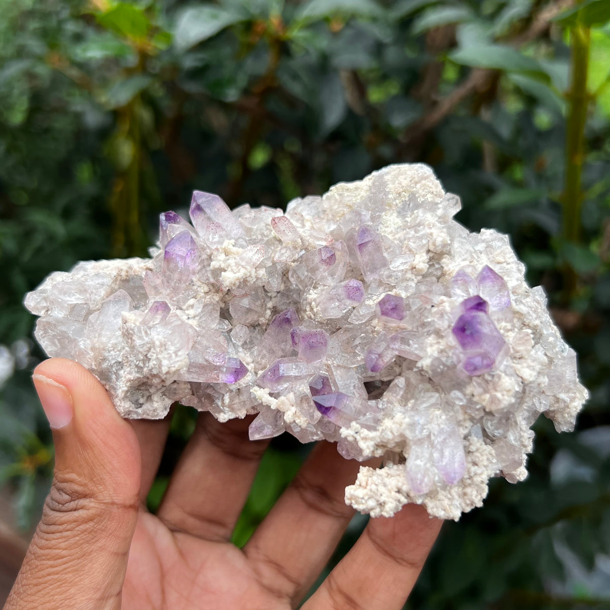 Brandberg and Gobobosebberge Amethyst Quartz from Namibia