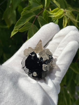 Black Tourmaline Crystal with Smoky Quartz, Mineral Specimen from Erongo Mountain, Erongo Region, Namibia