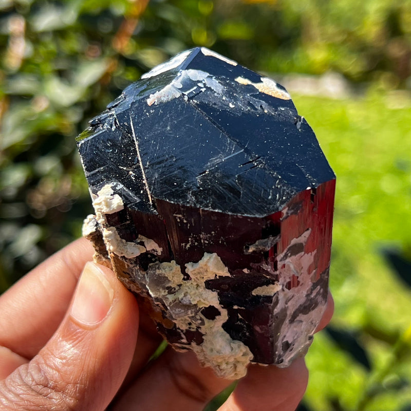 Lustrous Black Tourmaline Crystal with Feldspar and Hyalite, from Erongo Mountain, Erongo Region, Namibia