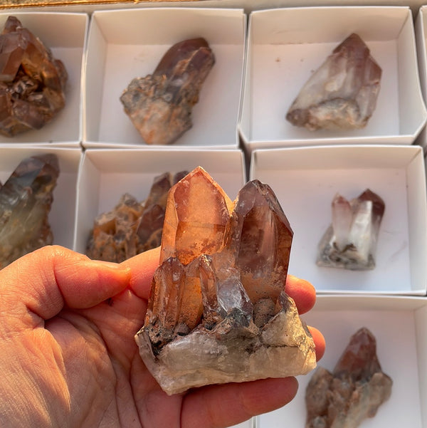 1.46kg Lot of 12 Ishuko Red Phantom Quartz, Hematite included Quartz from the Central Province of Zambia