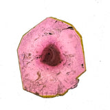 Liddicoatite Slice, Rare Tourmaline, Antsirabe, Madagascar, Rare Mineral Specimen