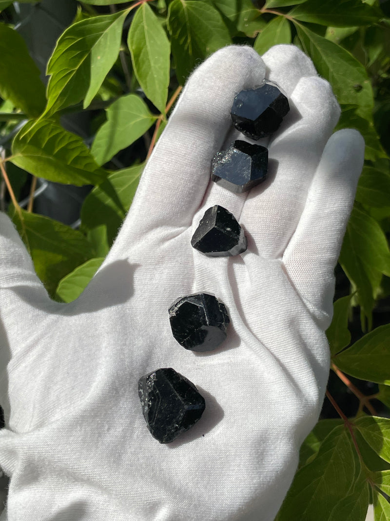 Set of Five Black Tourmaline Crystals, Crystals from Erongo Mountain, Erongo Region, Namibia