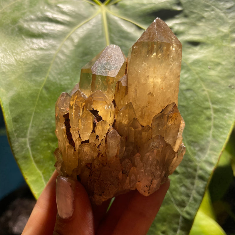 7 Piece (1 kilo) Kundalini Quartz, Congo Citrine, Natural Citrine, Lwena, Democratic Republic of Congo, Kundalini Citrine Crystal