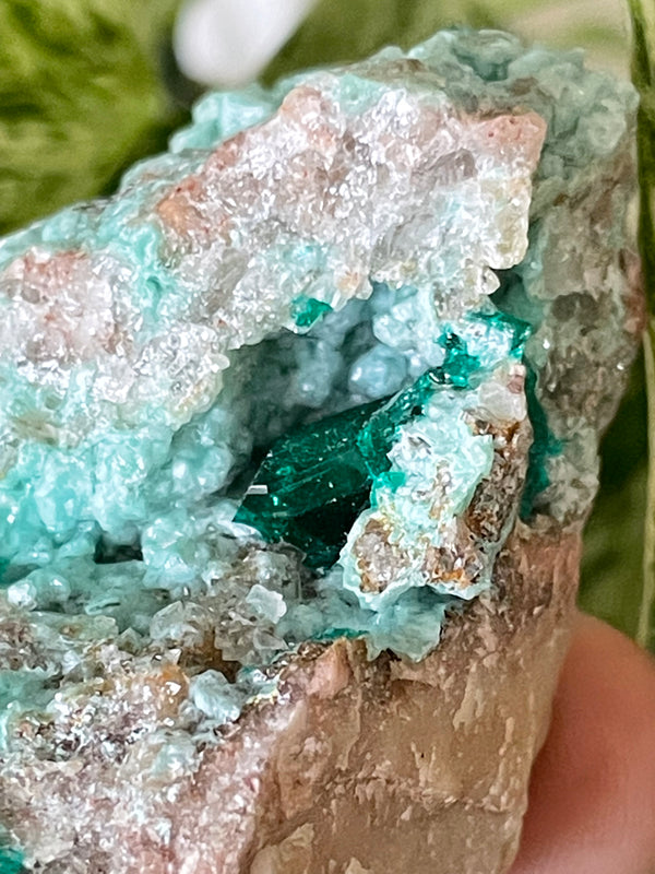 Dioptase on Matrix, Mineral Specimen from Kunene Region, Namibia, Africa