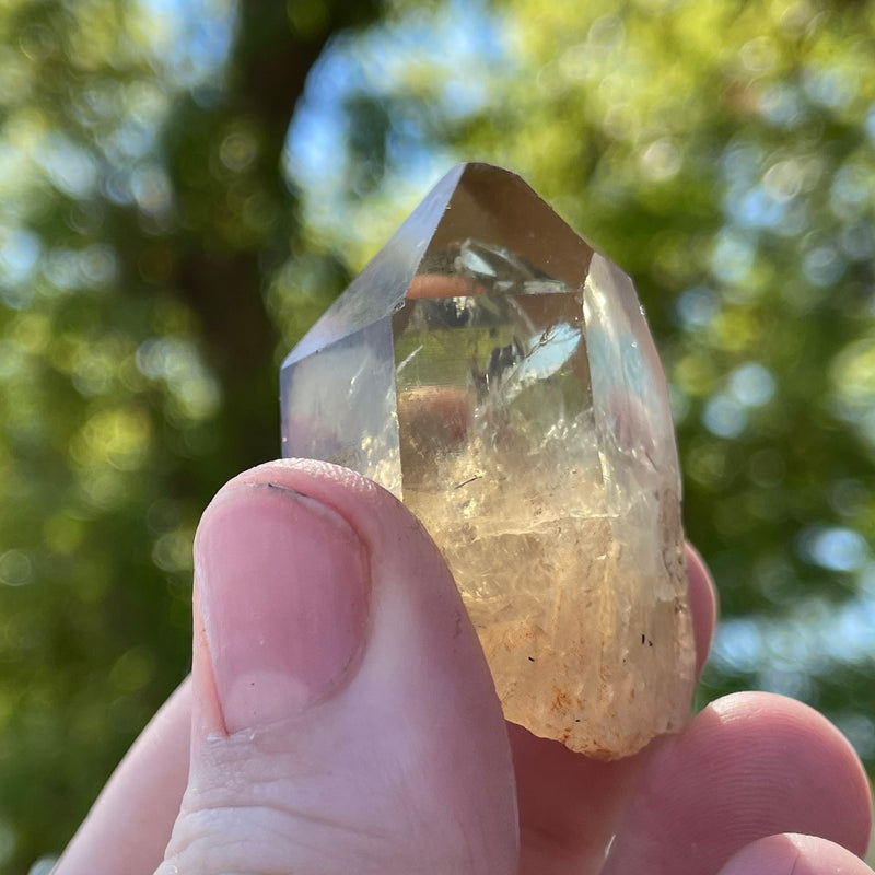 Over 1lb Lot of Kundalini Quartz Citrine, Democratic Republic of Congo, Lwena, Congo Citrine