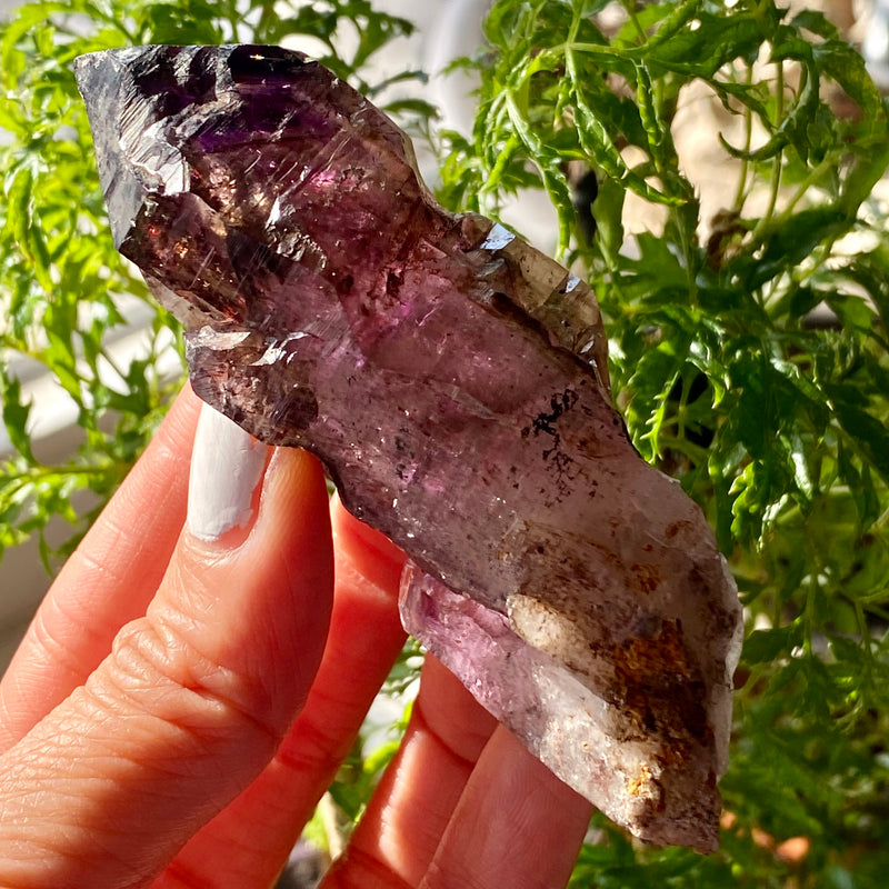 Shangaan Amethyst From Zimbabwe